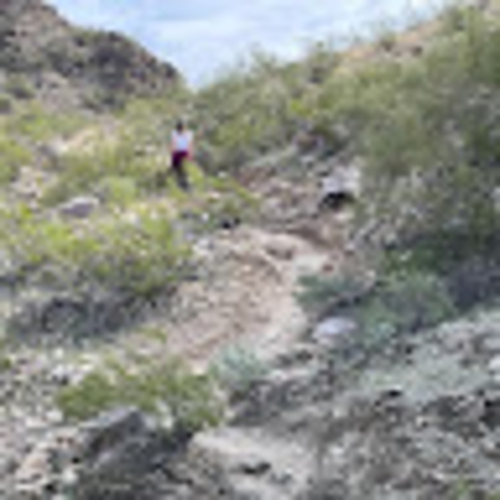 Meet your Posher, Lisa